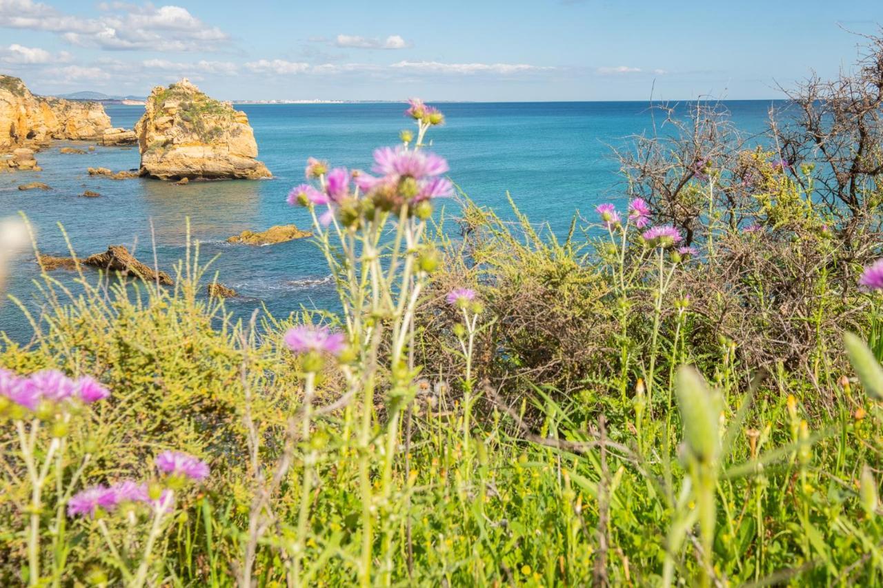 Beach Praia - Sleep 5 - Pool - Free Wi-Fi - Air Con Albufeira Exteriör bild